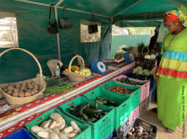 Promotion of Family Farming in West Africa (Pafao) programme