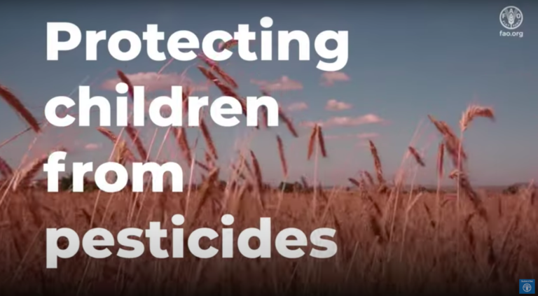 Protecting children from pesticides