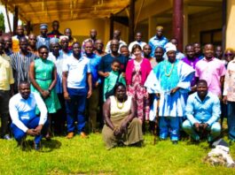 Social Regreening Africa