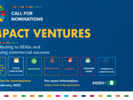 Growth Stage Impact Ventures (GSIV) for SDGs 2023 Programme in Nigeria