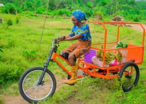 social enterprise staBecause Accelerator – 2023rtup