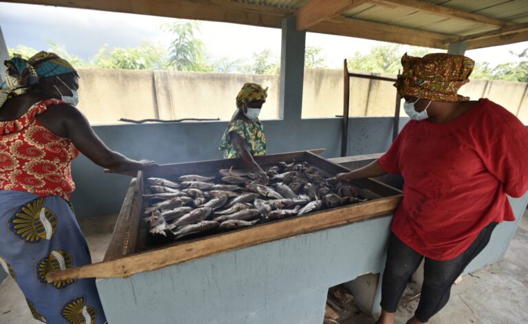 Much of FISH4ACP’s work addresses the needs of artisanal fishers, fish farmers and fish workers. ©FAO/Sia Kambou