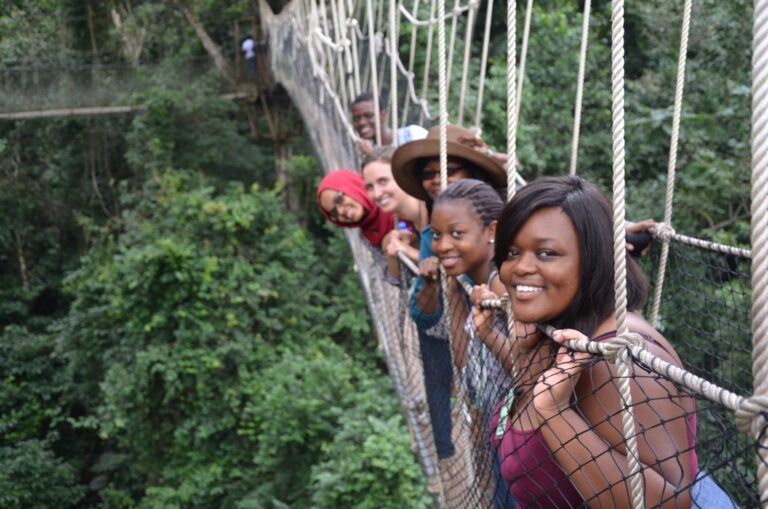 MILEAD FELLOWS PROGRAM