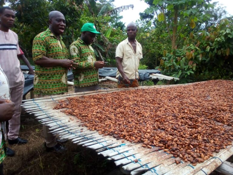 Cocoa farmers to receive GH¢3,228.75 per bag starting August 7, 2025