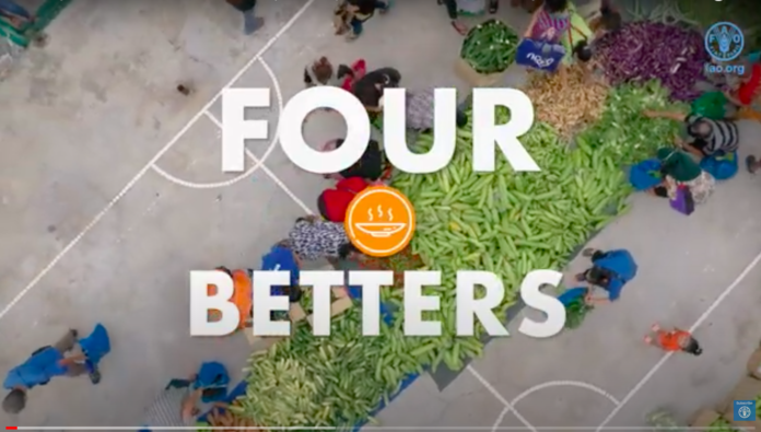 Achieving Better Nutrition in Asia-Pacific by reducing food loss and waste – leaving no one behind