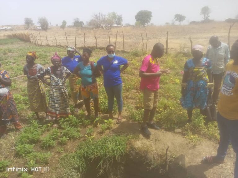 Social Market Sorghum