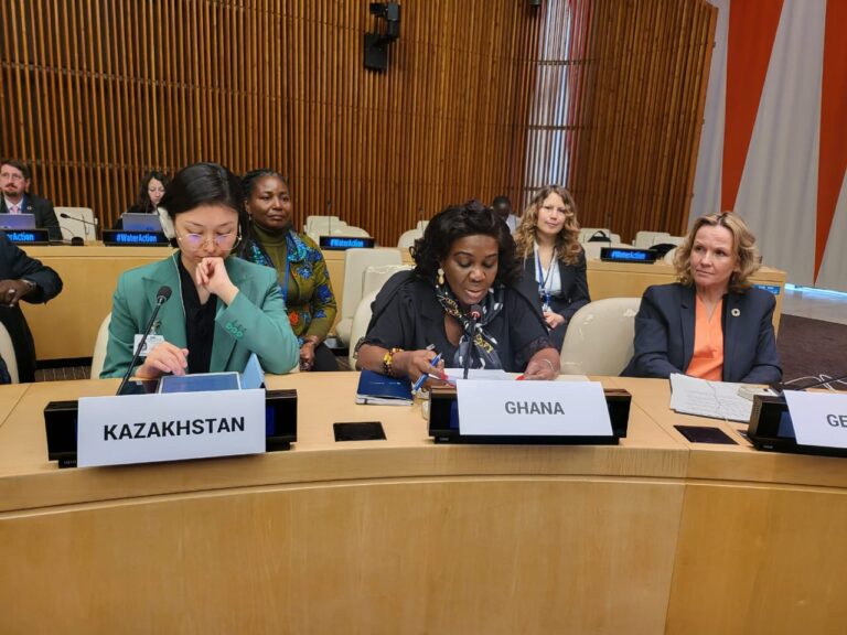 Government is committed to meeting SDG requirements and standards – Minister