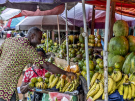 A food market in Nigeria. ©FAO/Andrew Eseibo