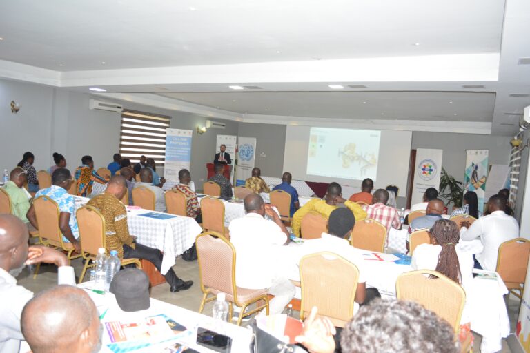 UNIDO, GEA invites SMEs to participate in $3.9 million new Kaizen project