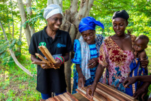 Online Executive Training: Young Women Leadership on Climate Adaptation
