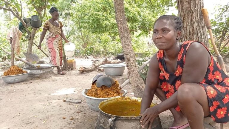 Economic Dekpor Businesswomen