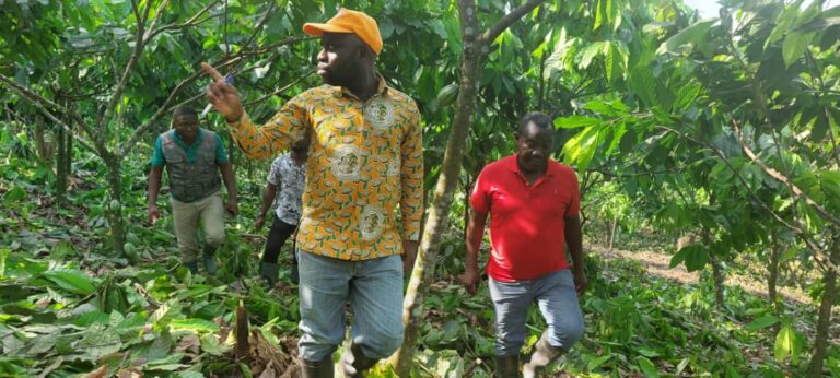 COCOBOD Manager inspects progress of work on Bud Management Technique site