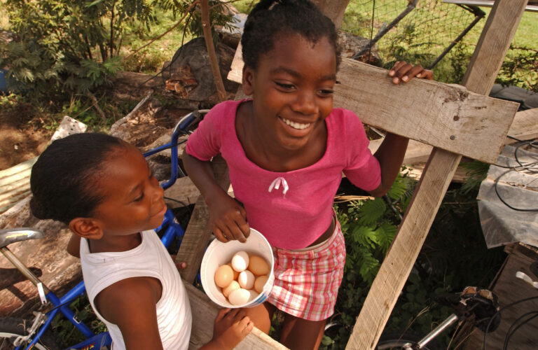 Consumption of milk, eggs, meat varies widely around the world ©FAO/Giuseppe Bizzarri ©FAO/Giuseppe Bizzarri