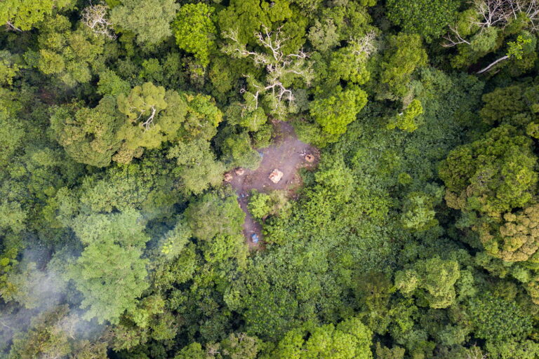 World leaders have committed to working collectively to halt and reverse forest loss and land degradation by 2030. ©FAO