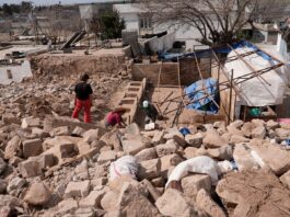Initial assessments on the impact of the earthquakes in Türkiye indicate severe damage to agriculture and rural infrastructure in affected areas. ©FAO/Turuhan Alkır