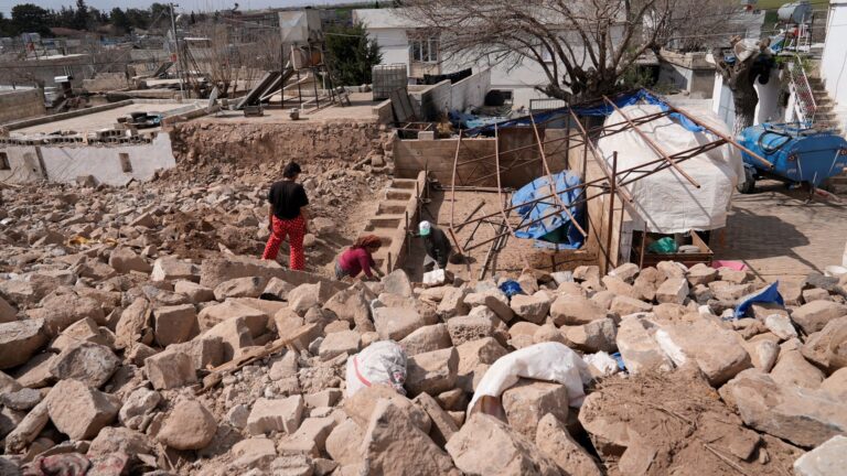 Initial assessments on the impact of the earthquakes in Türkiye indicate severe damage to agriculture and rural infrastructure in affected areas. ©FAO/Turuhan Alkır