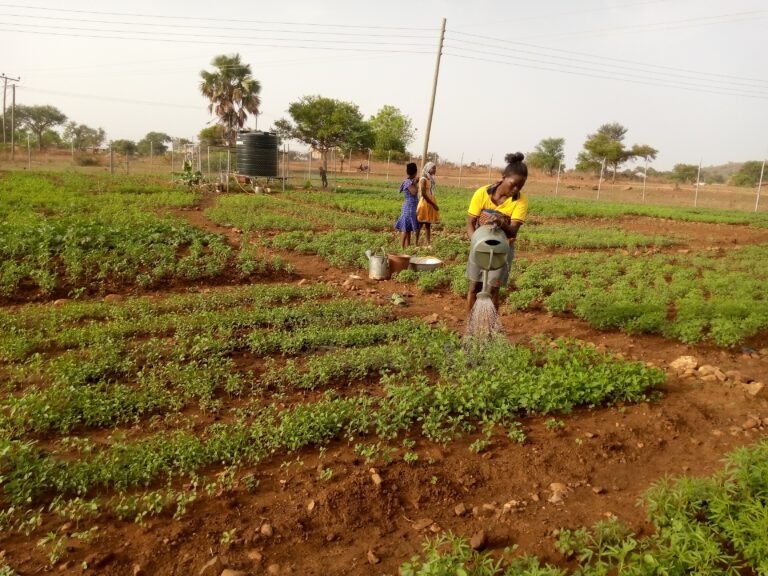 Smallholder women farmers to benefit from access to extension services project