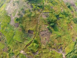 Innovation for Ecosystem Restoration Africa 2023