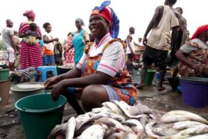 Bulk Fish Importers Association Of Ghana
