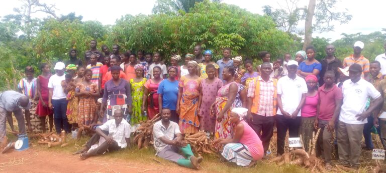 Farmers who participated in the demonstration farm on improved cassava cultivation at Asesewa in the Upper Manya Krobo district of the Eastern Region.