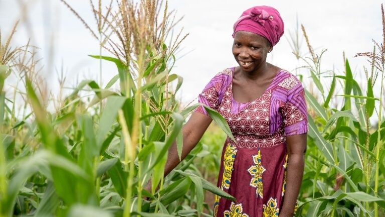 Report: Women farmers recount impact of ActionAid’s intervention