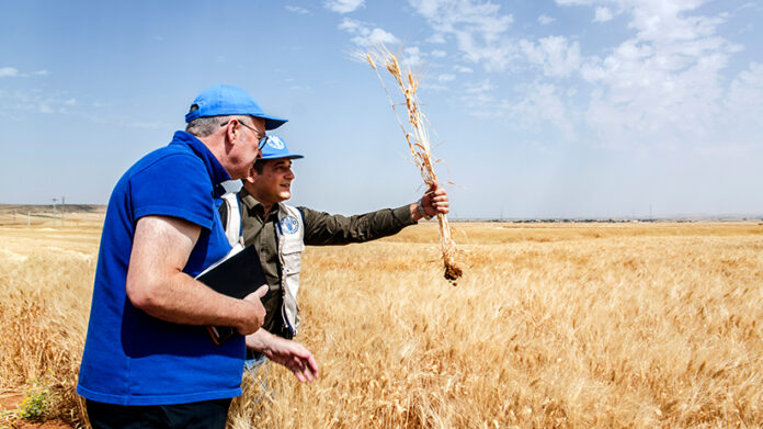 FAO Award for Achievement