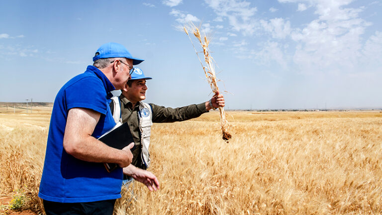 FAO Award for Achievement