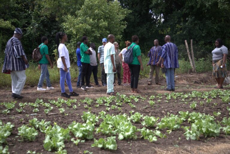 Project to develop new agroecological-based practices kicks off in four countries
