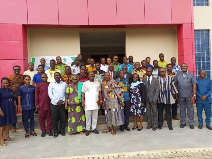 Participants in the first Ghanaian stakeholder meeting on the simulation of new plant disease outbreak management.
