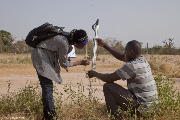 Studying microbes in Burkina Faso. ©FAO/Gideon Vink Studying microbes in Burkina Faso. ©FAO/Gideon Vink