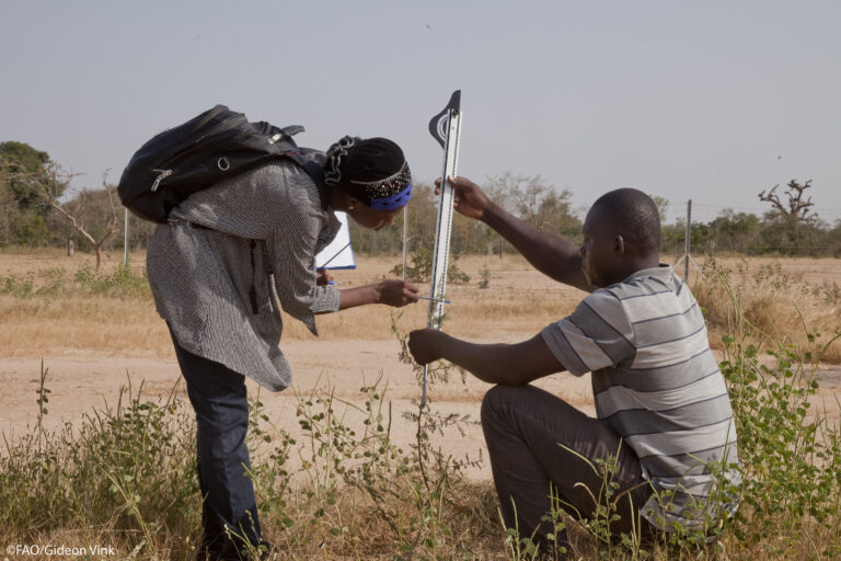 Studying microbes in Burkina Faso. ©FAO/Gideon Vink