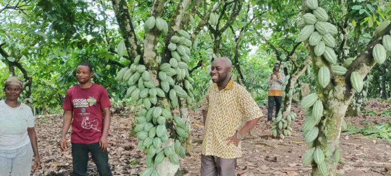 CHED educates cocoa farmers to adopt hand-pollinated cocoa farming practices