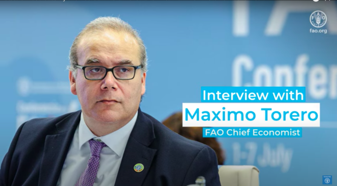 Interview with FAO Chief Economist: