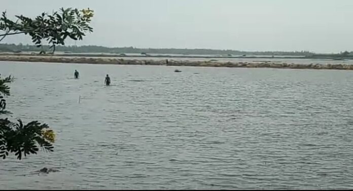 Social Lagoon Drowning