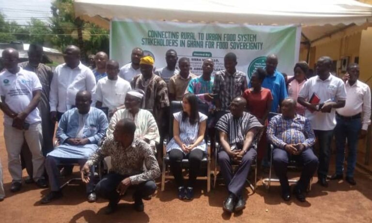 Ghana urged to strengthen local food systems to tackle food security challenges