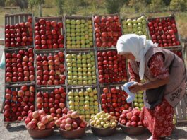 While global hunger numbers have stalled between 2021 and 2022, there are many places in the world facing deepening food crises. ©FAO/Lazizkhon Tashbekov