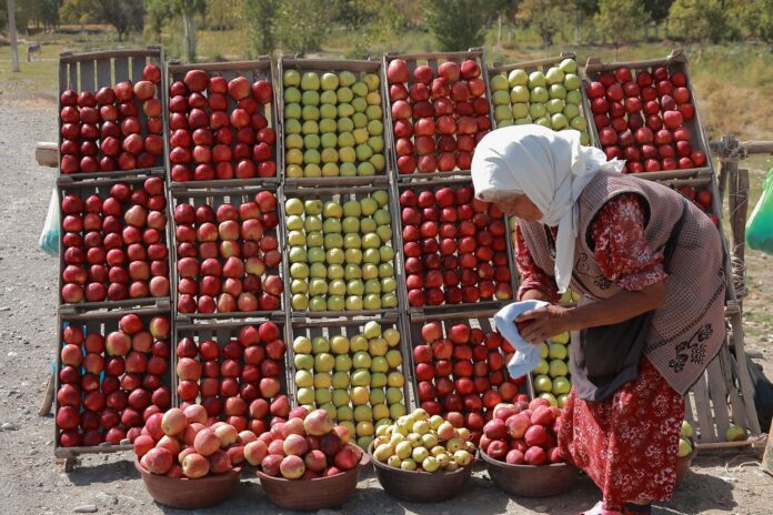 While global hunger numbers have stalled between 2021 and 2022, there are many places in the world facing deepening food crises. ©FAO/Lazizkhon Tashbekov