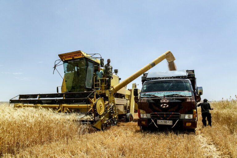 Harvesting wheat in the Syrian Arab Republic. ©FAO/Aleppo/Jafaar Al Merei