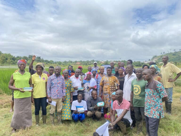 Stakeholders in rice value chain ask government to invest in research