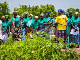 Women Vegetable farmers of Dissah community on the farm.
