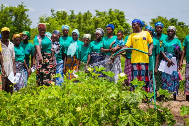 Women Vegetable farmers of Dissah community on the farm.