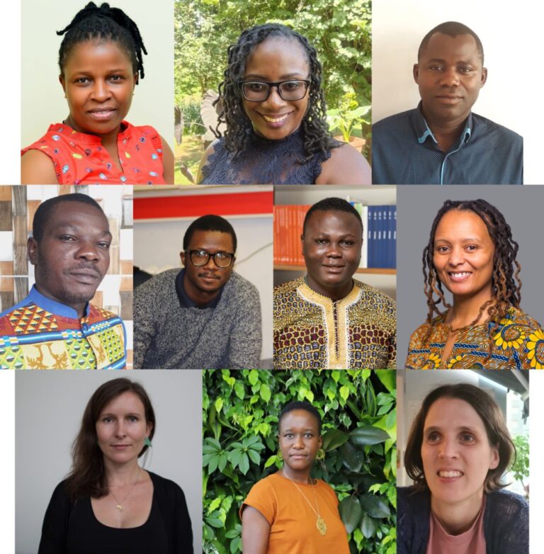 Stellenbosch Institute for Advance Study Fellowship