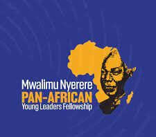 The Mwalimu Nyerere Pan-African Young Leaders Fellowship Program - Cohort 2