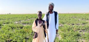 Food crisis in the Sudan deepens with 20.3 million people facing acute food insecurity.©FAO/Eilaf Abdelbasit