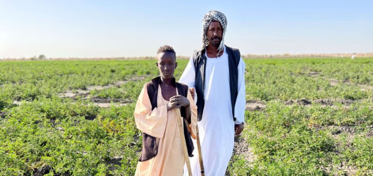Food crisis in the Sudan deepens with 20.3 million people facing acute food insecurity. ©FAO/Eilaf Abdelbasit