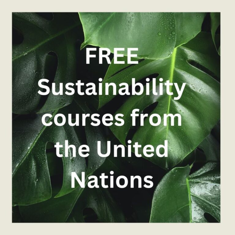 FREE Sustainability courses from the United Nations
