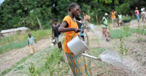 FAO will launch a global assessment on irrigation needs and irrigation potential©FAO/Riccardo Gangale