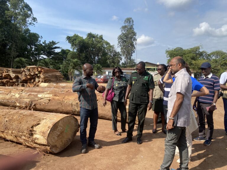 Ghana commended for combating illegal logging