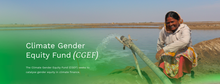 Climate Gender Equity Fund (Grant US$100,000 to US$300,000,)
