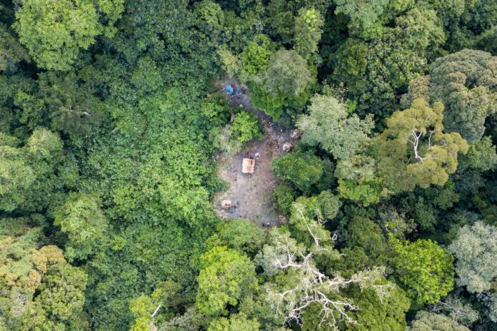 Forests are an important component of natural capital and deliver a broad range of ecosystem services that underpin human well-being. ©FAO/Thomas Nicolon
